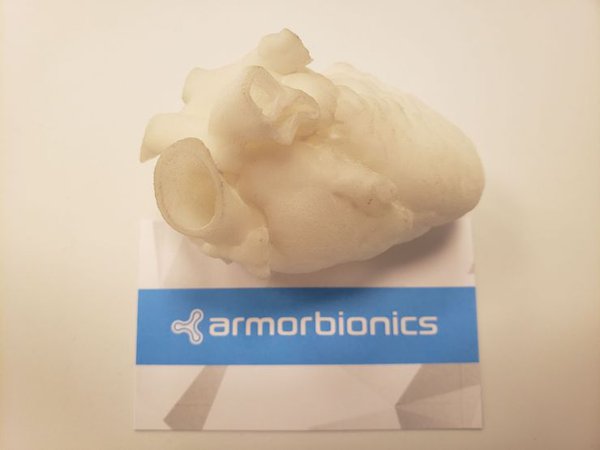 Cardio Heart Image Armor Bionics.jpeg