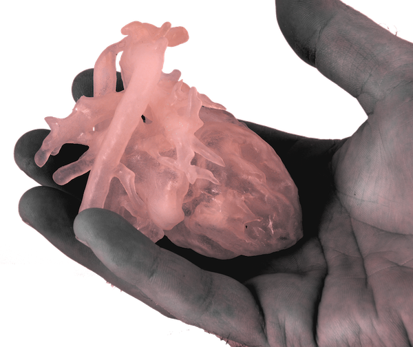 Heart in Hand.png